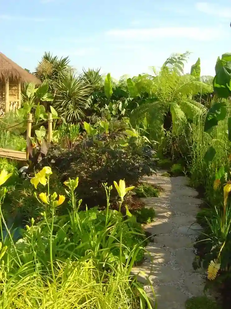 Foto van een jungle tuin, een tropische planten oase
